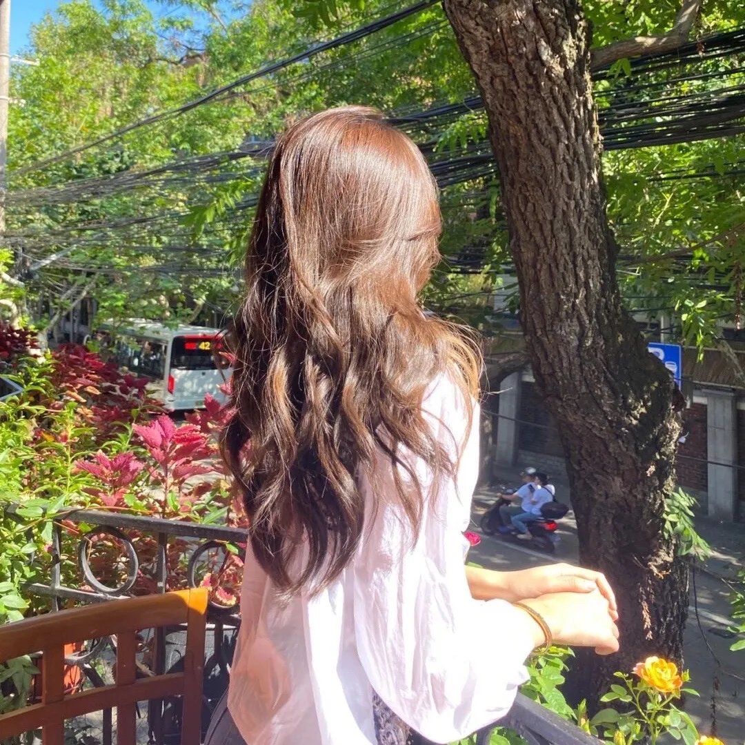 布达佩斯的天使